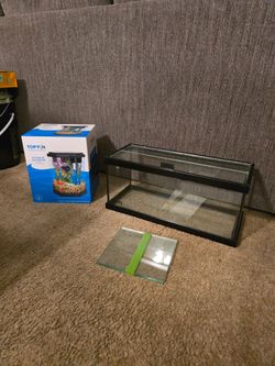 Betta tanks