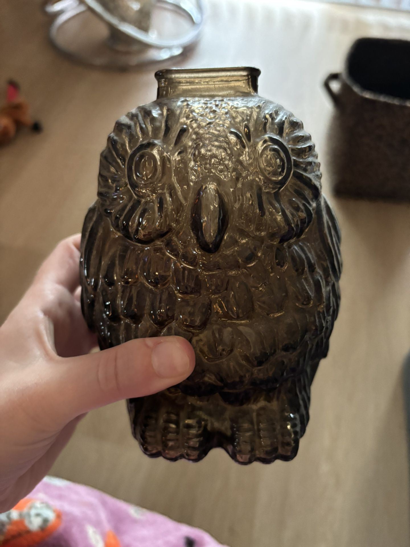 Owl Glass Piggy Bank