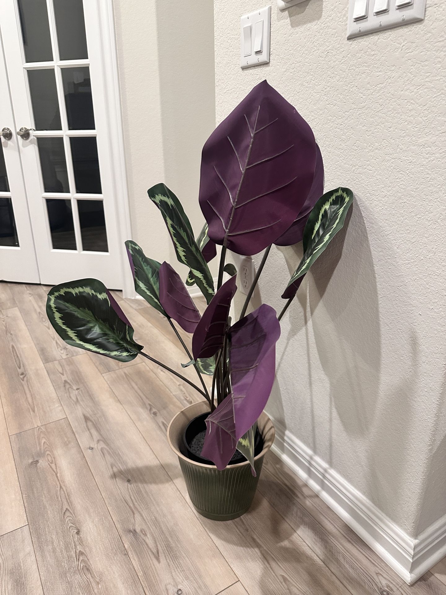 Green Vase With Plant