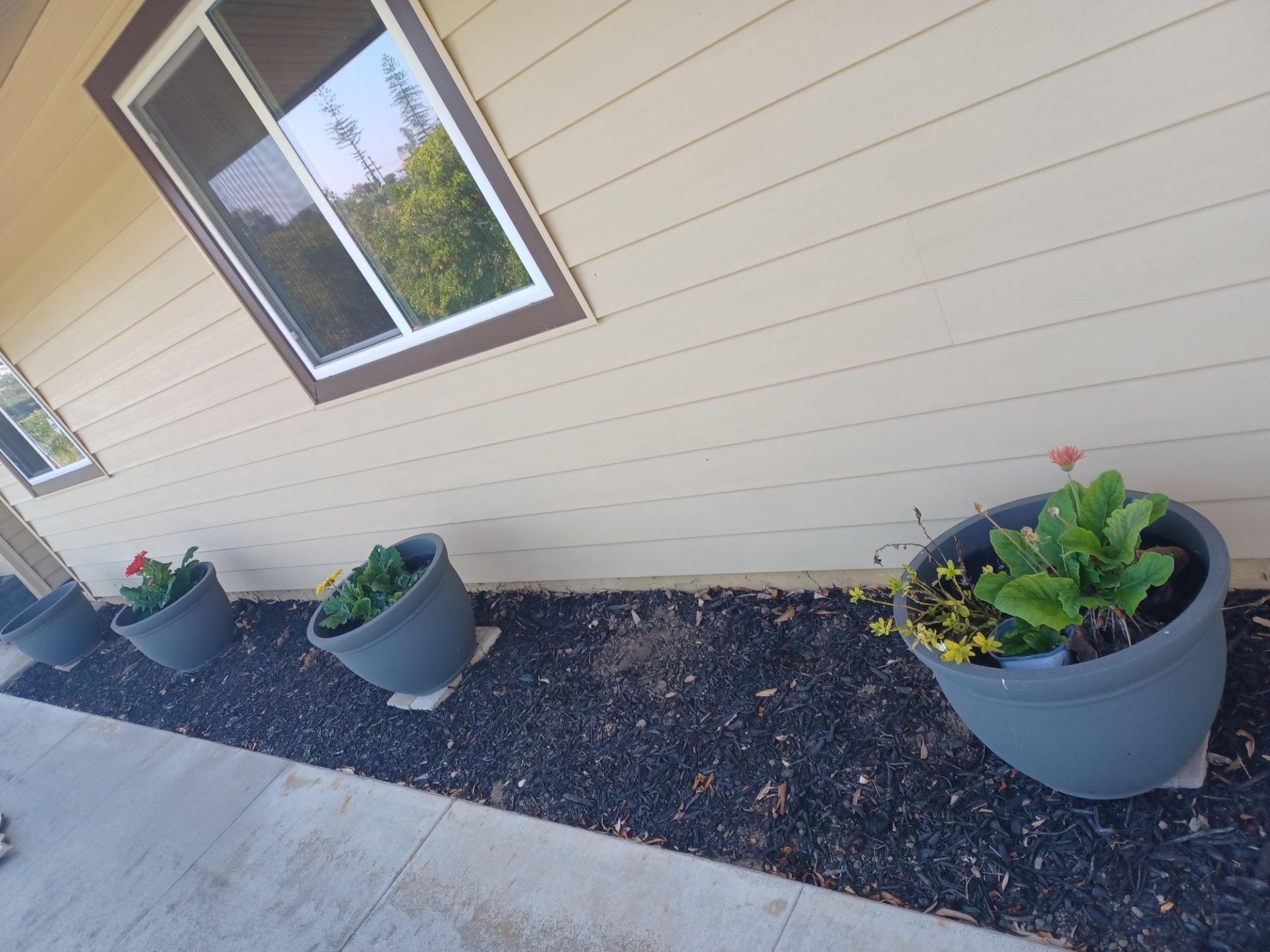 Five heavy-duty plastic pots with flowers