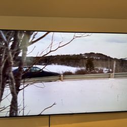 Samsung 75in TV + Heavy Duty Accordion Swivel Mount