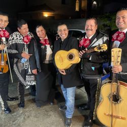 Requinto De Violín Mariachi 