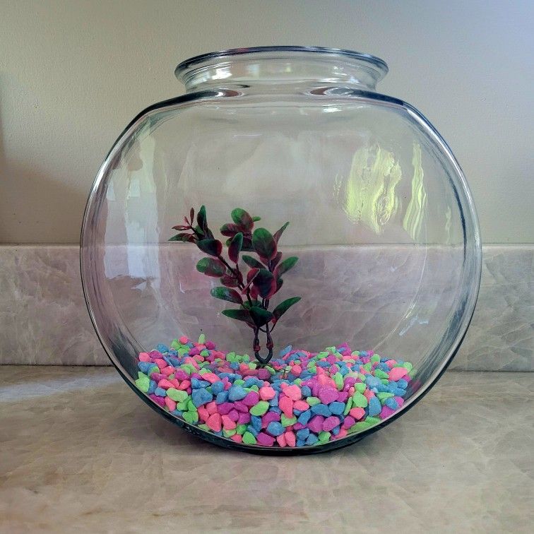Aqua Culture Glass Fish Bowl with Starter Kit, 1 Gallon 