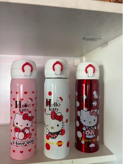 Sanario stainless mug bottle