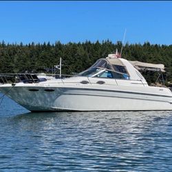 1999 Searay Sundancer 290
