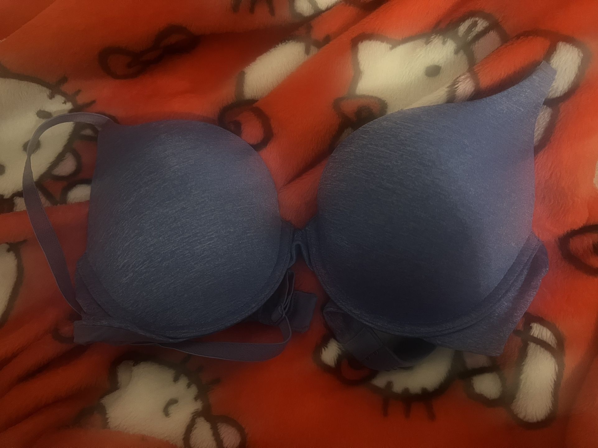 Victoria’s Secret Blue Push-up Bra Size 34B