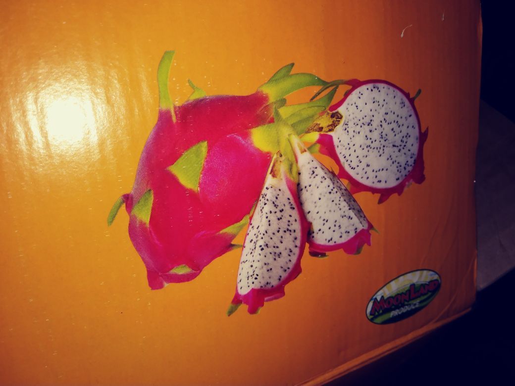 Tunas de tasajo