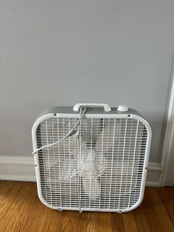 Fan