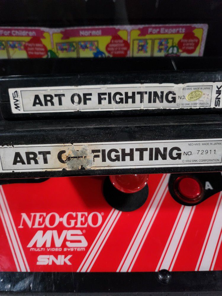 Art Of Fighting 1