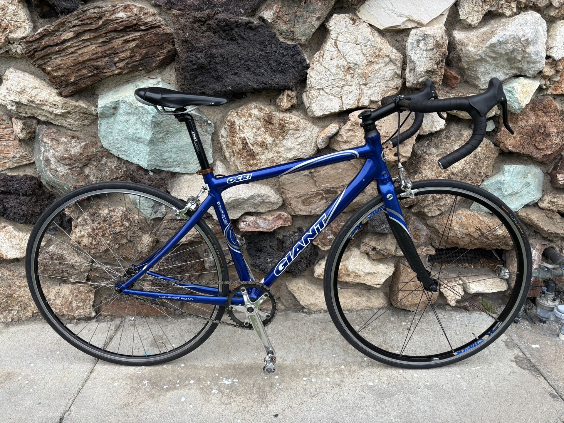Giant Single Speed Bike