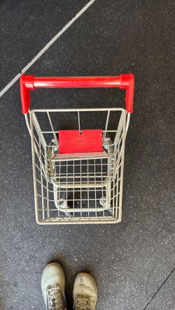 Kids shopping cart
