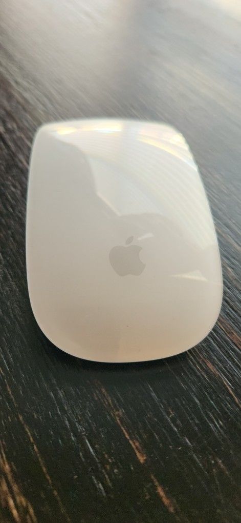 Magic Mouse (White) $40