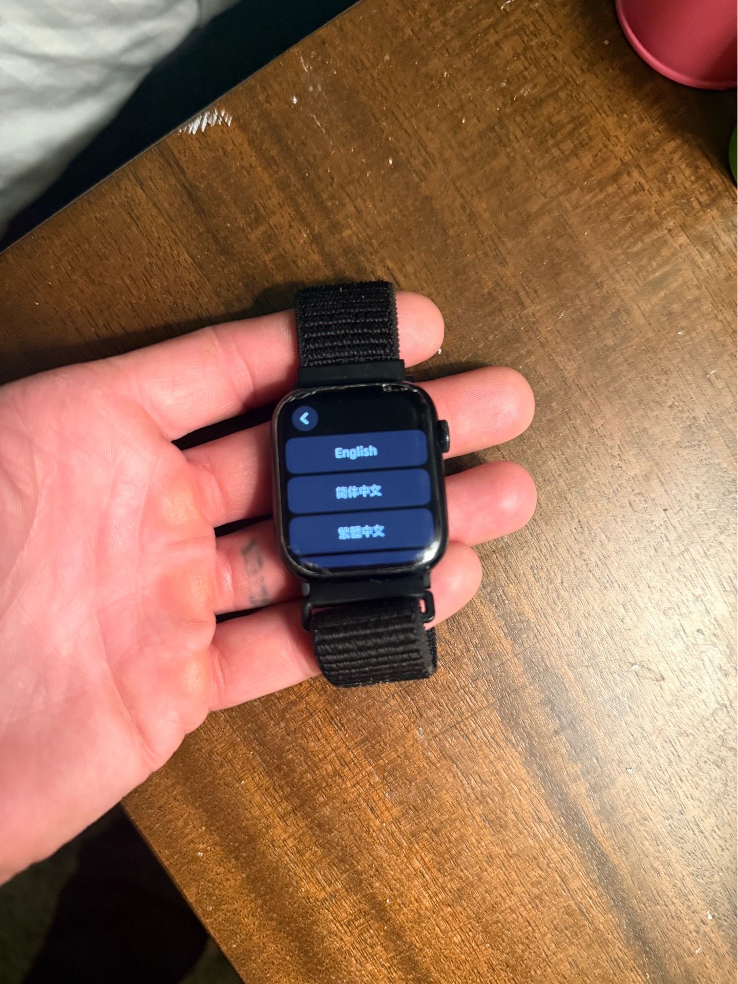 Apple series 8, watch