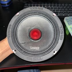 Ds18 Pro Speaker