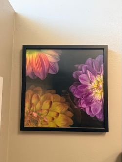 2 framed art pieces
