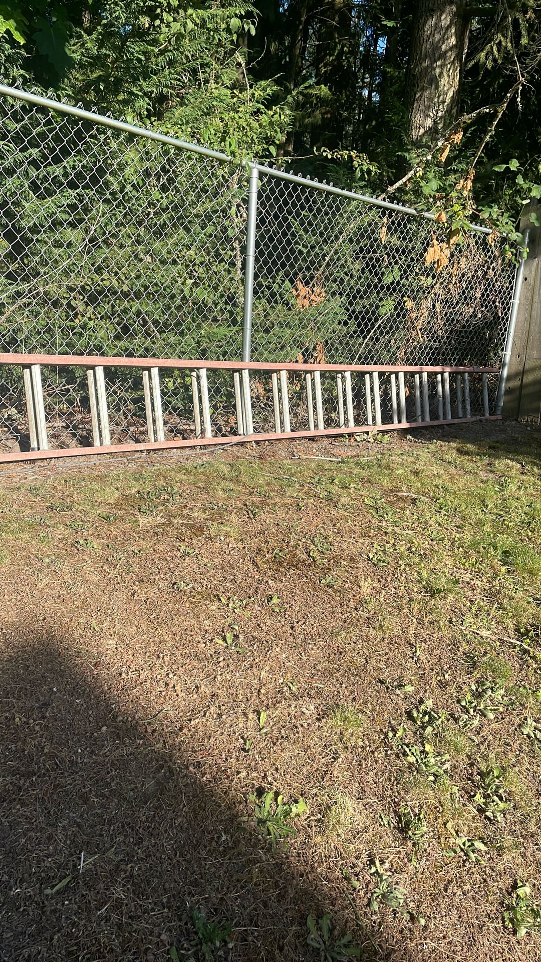 40ft Extension Ladder