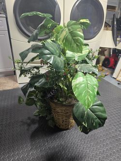 Artificial Plant Arrangement in Woven Wicker Basket – Home Decor