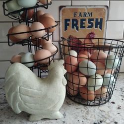 Fresh Eggs