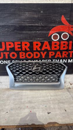 2020 Palisade Calligraphy Grille OEM 2022