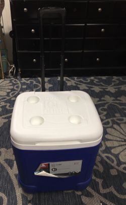 Igloo Cooler