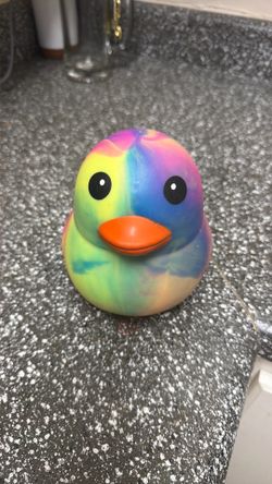 Duck squishy