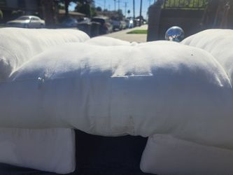 Large dog bed