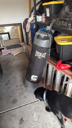 Everlast Boxing Bag