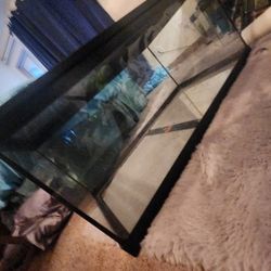 40 Gallon Tank