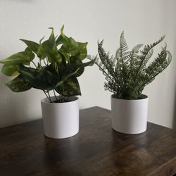 Two Fake Decorative Plants 