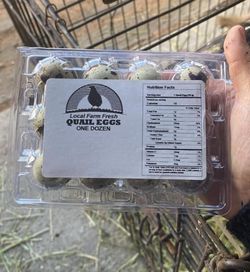 Caja Para Huevos De Codorniz 