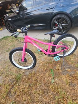 Trek Roscoe 20in.