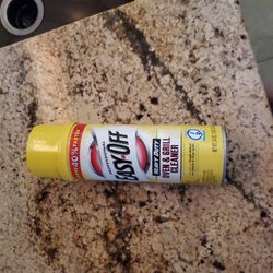 Professional Easy Off Oven & Grill Cleaner