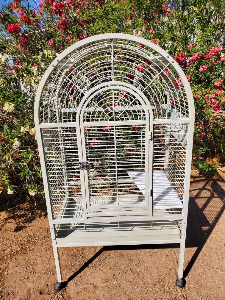 Bird Cage 🐦 🎶