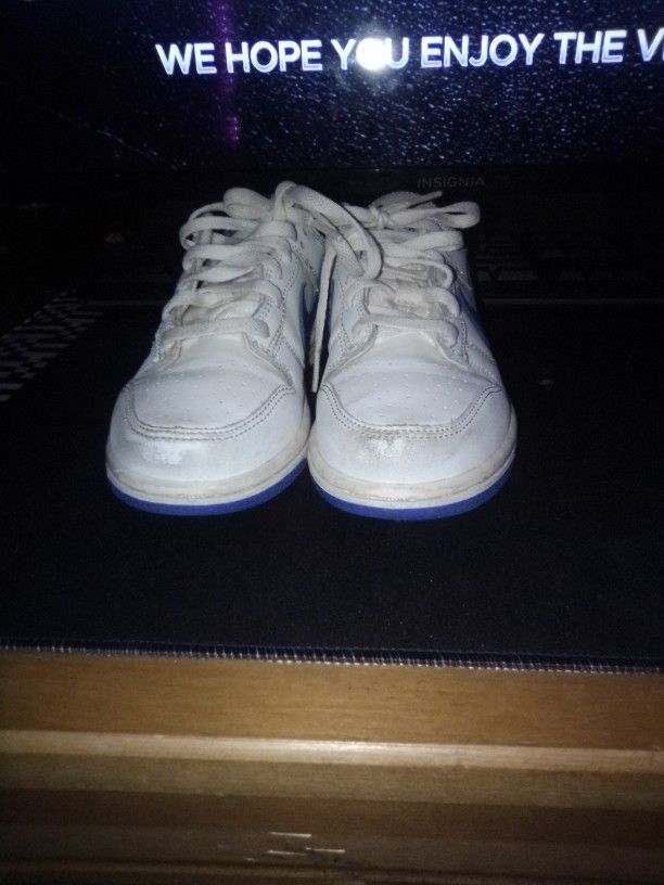 Selling Nike Dunks Lows