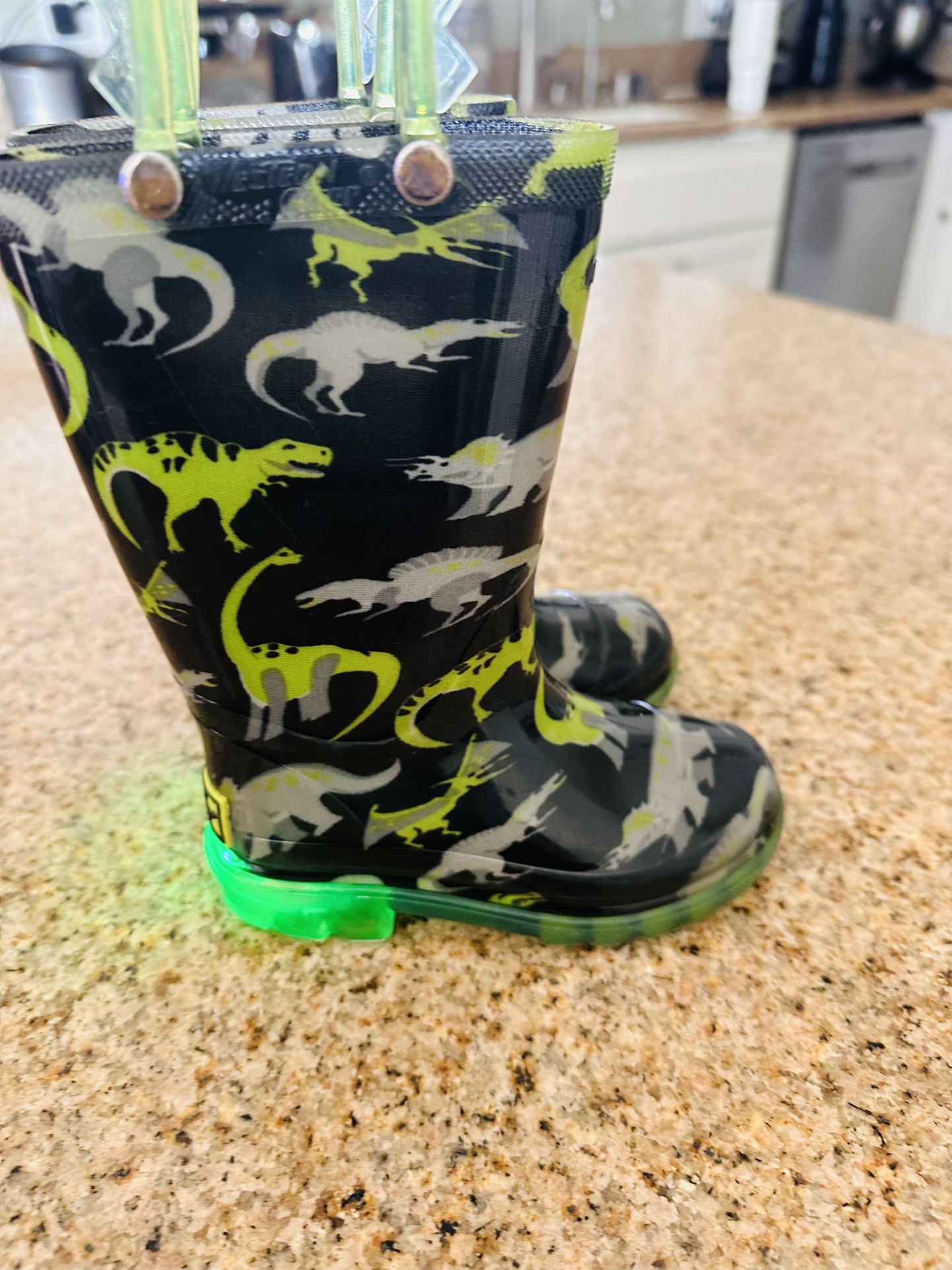 Dinosaur Rain Boots