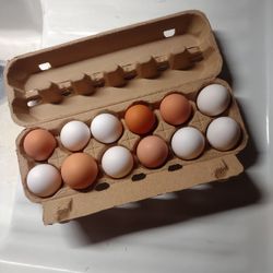 Egg Cartons 
