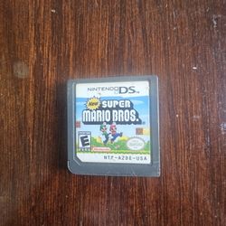 Nintendo Ds Game