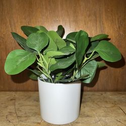 3 Fake Plants (Read description)