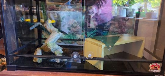 Lizard enclosure and more