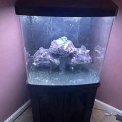 32 Gal Bio Cube Tank/Stand 