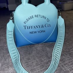 Tiffany Purse Infinity Blue Authentic Designer Bag
