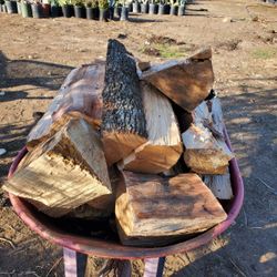 Firewood