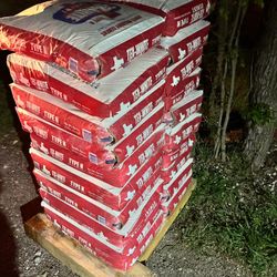 Cement 