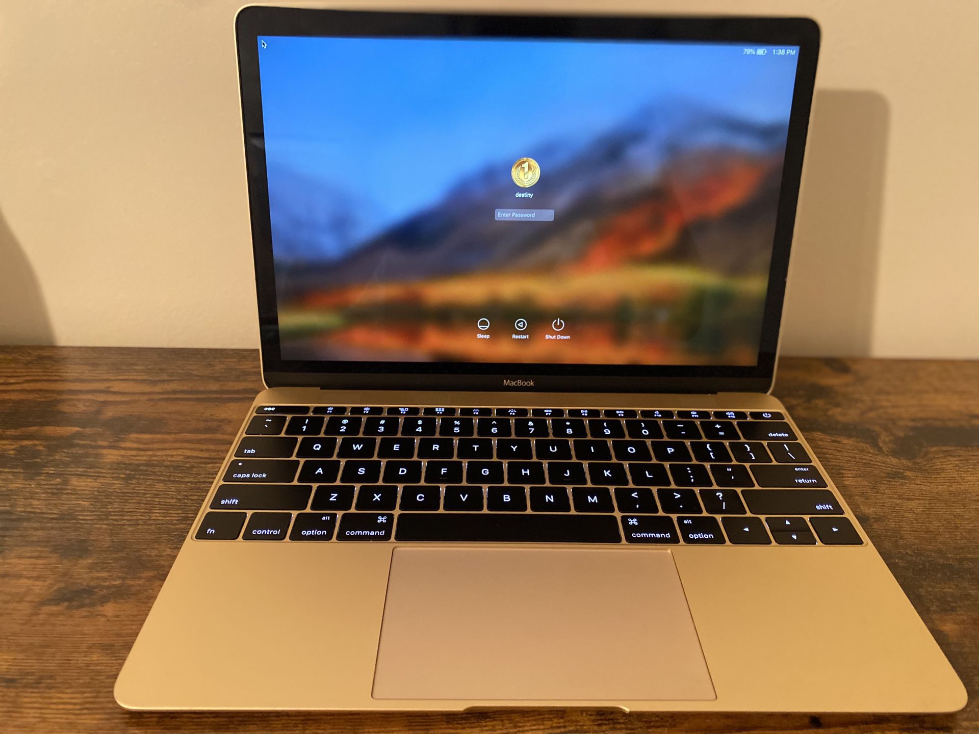 MacBook 12” 2016 rose gold 250gb