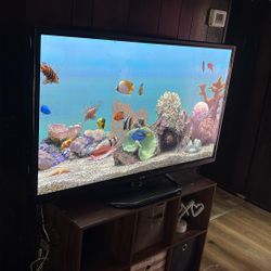 50 LG TV