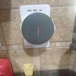 2 Google Nest Minis 2nd Gen