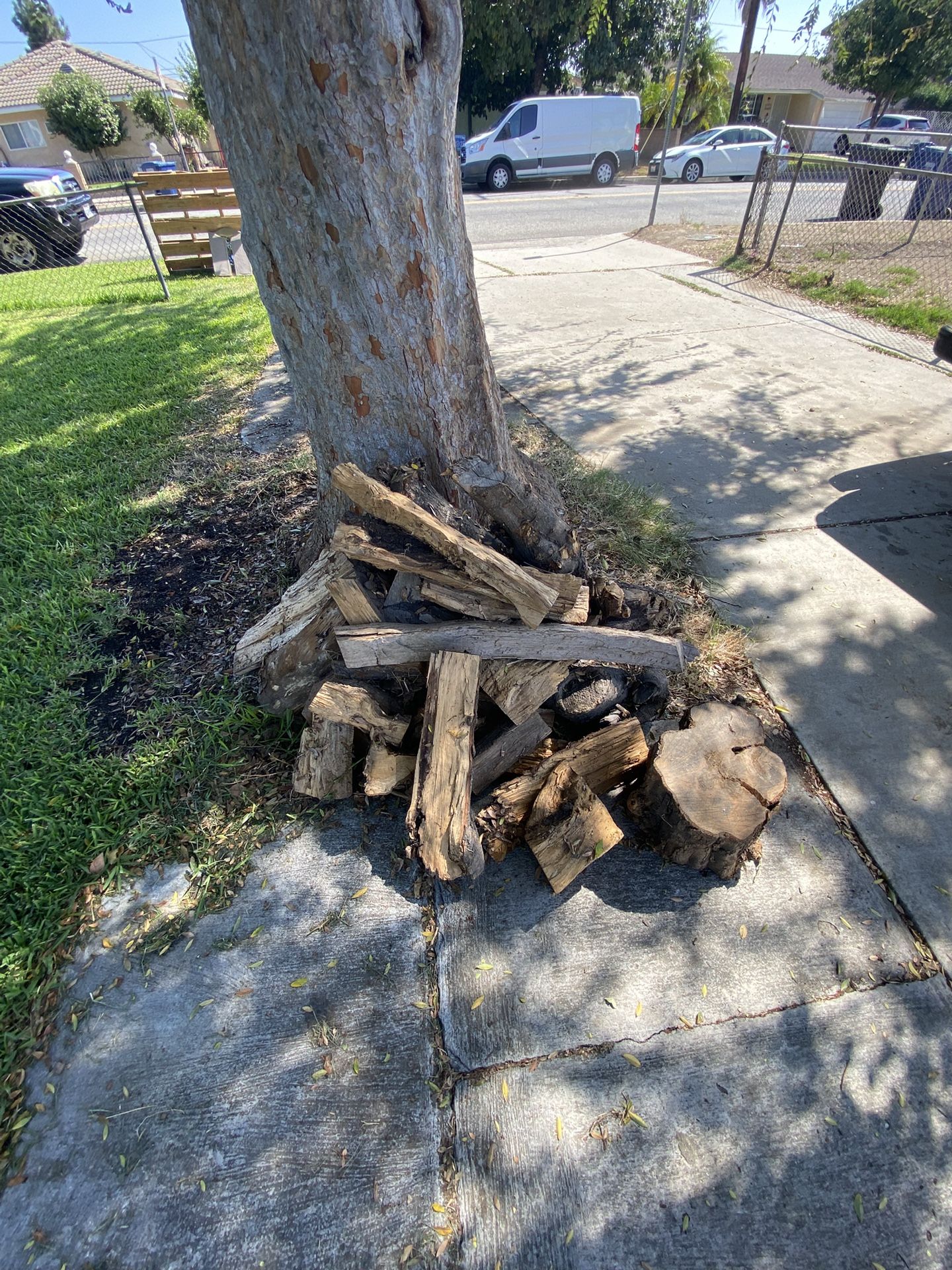 firewood