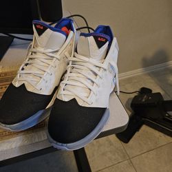 LeBron James Nike Tennis Shoes
