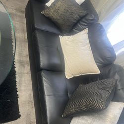 Leather coach