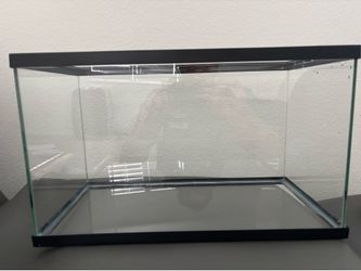 5 gallon tank